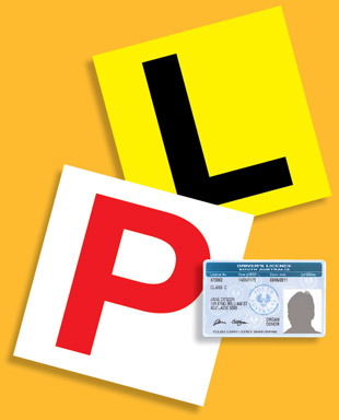 Drivers and Licensing