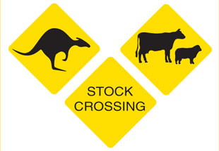 Example of Australian road signs which relate to animals